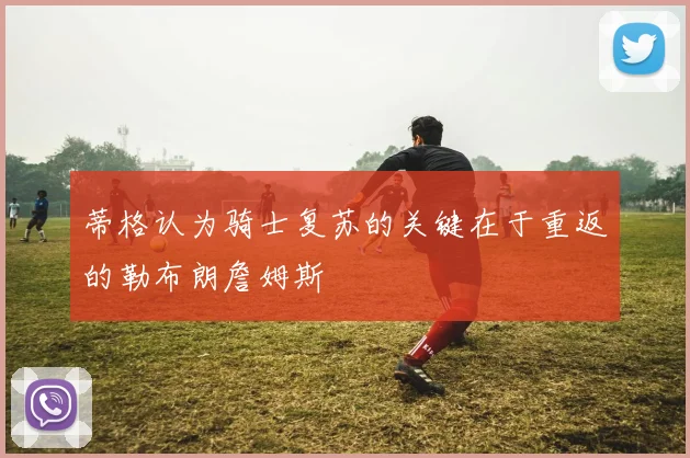 蒂格认为骑士复苏的关键在于重返的勒布朗詹姆斯